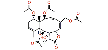Pachyclavulide C